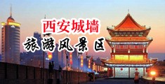 洋妞日逼中国陕西-西安城墙旅游风景区